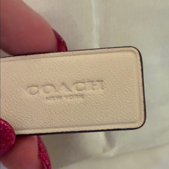 🩵Coach NWT Teri Mini Crossbody With Star Print/ Crossbody/Silver Chain Strap - Picture 7 of 8